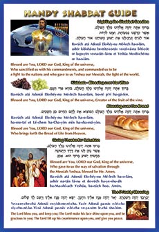 Priestly Blessing Poster